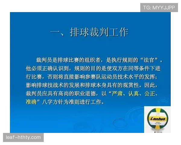 裁判判罚流程详解：从识别到执行的完整步骤